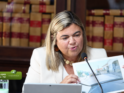 Margarida Lopes alertou para o estado das passadeiras no concelho