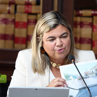 Margarida Lopes alertou para o estado das passadeiras no concelho