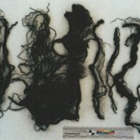 Polícia Judiciária apela a informação sobre bebé encontrado morto em Trajouce