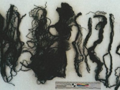 Polícia Judiciária apela a informação sobre bebé encontrado morto em Trajouce