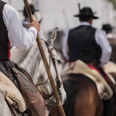 Campinos a cavalo participam em desfile tradicional com traje ribatejano