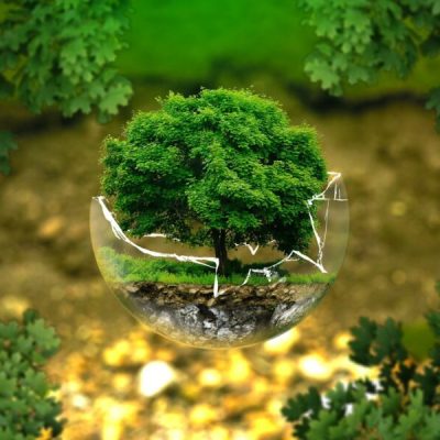 Biossoluções são abordagens que utilizam tecnologias, processos e estratégias inovadoras para transformar resíduos orgânicos e industriais em recursos renováveis