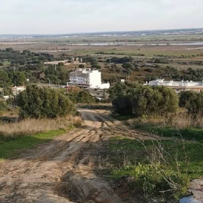 PSD de Azambuja consegue aprovar estrada  entre Mata-Burros e Quinta da Marquesa